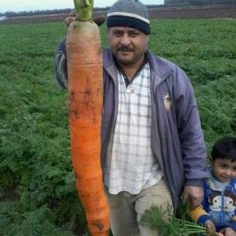 گەورەترین گێزەر